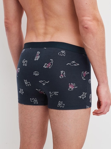 CALIDA Boxershorts 'Family & Friends' in Zwart