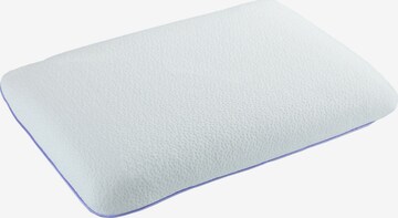 Wenko Pillow in White: front