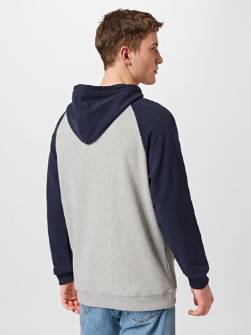 DC Shoes Sweatshirt 'STAR PILOT' i grå