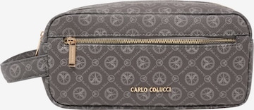 Carlo Colucci Cosmetic Bag in Grey: front