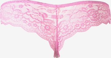 LASCANA Panty in Pink: back