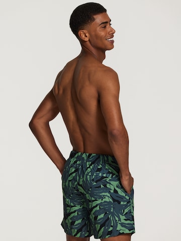 Shorts de bain 'palm cove 4-way stretch' Shiwi en noir