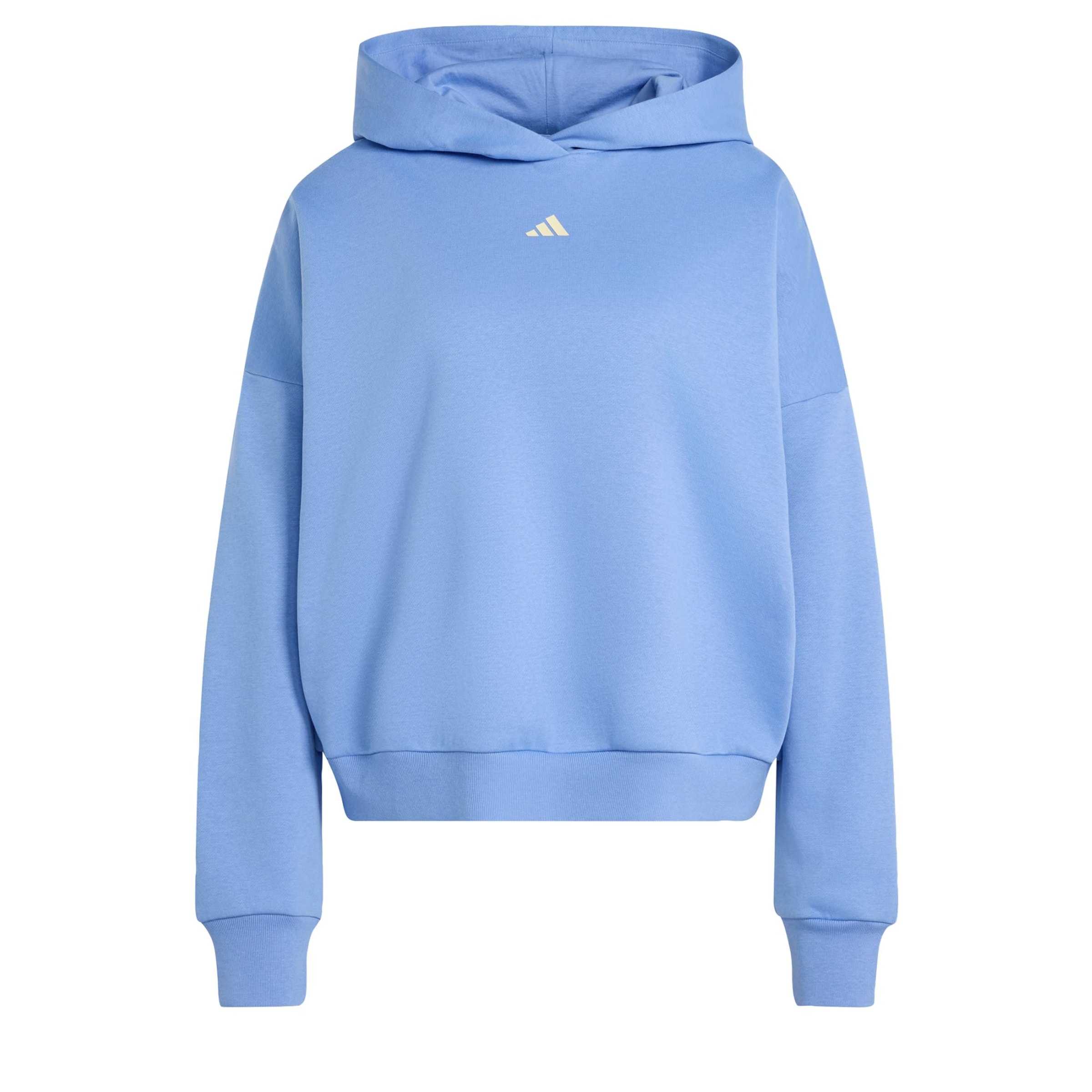 ADIDAS SPORTSWEAR Sweatshirt in Blue: front