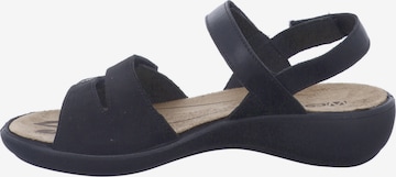 Westland by JOSEF SEIBEL Sandals 'Ibiza 86' in Black