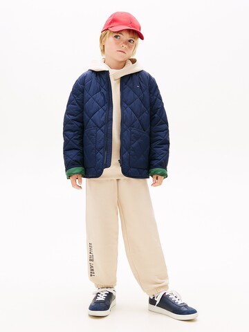 TOMMY HILFIGER Regular Hose 'Terry' in Beige