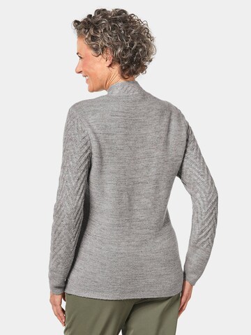 Goldner Sweater in Grey