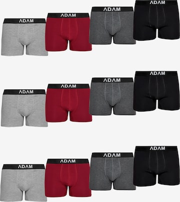 Adam Boxer shorts '12er Pack' in Red: front