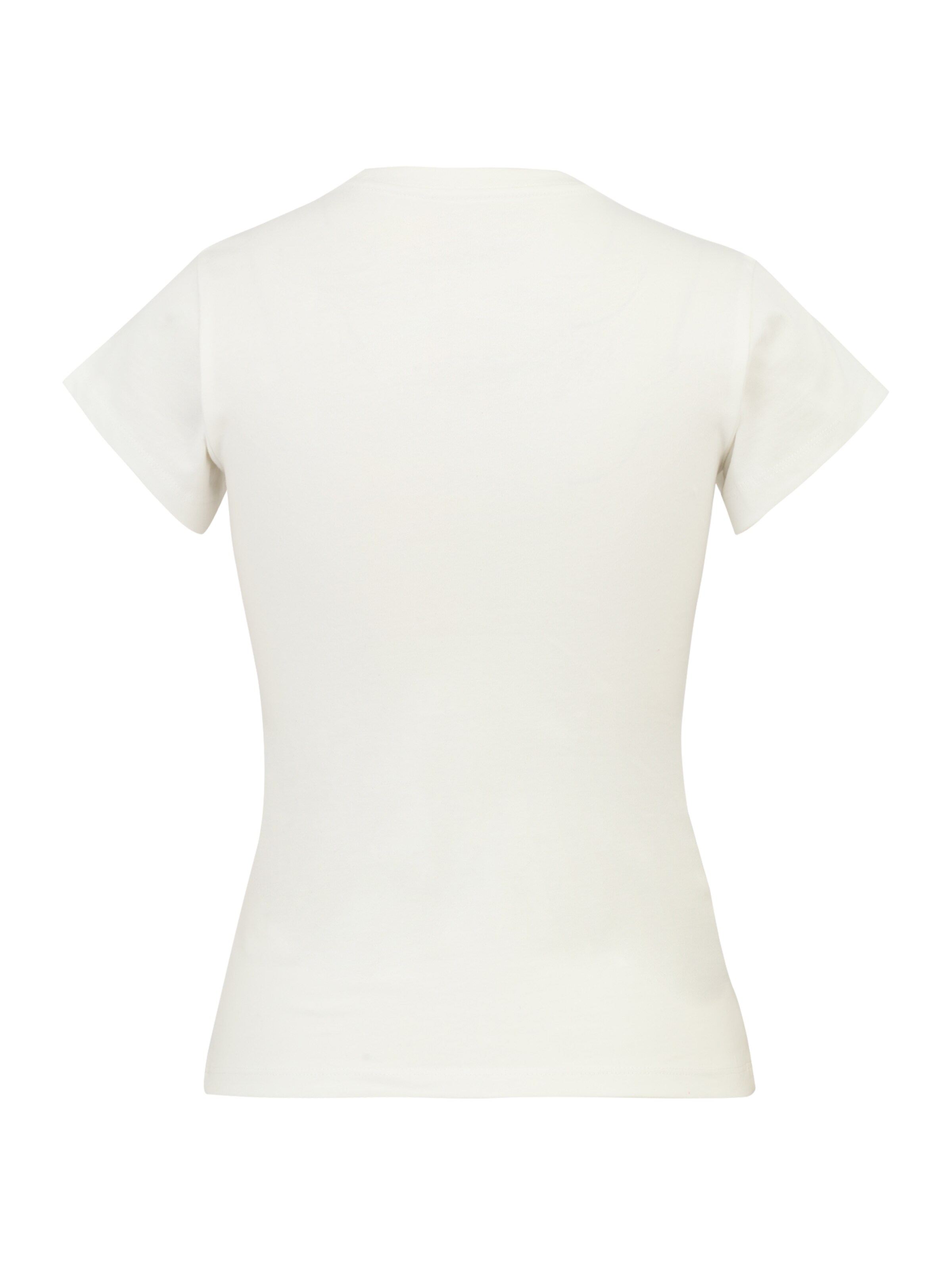 WRANGLER Μπλουζάκι 'SHRUNKEN BAND TEE' σε λευκό