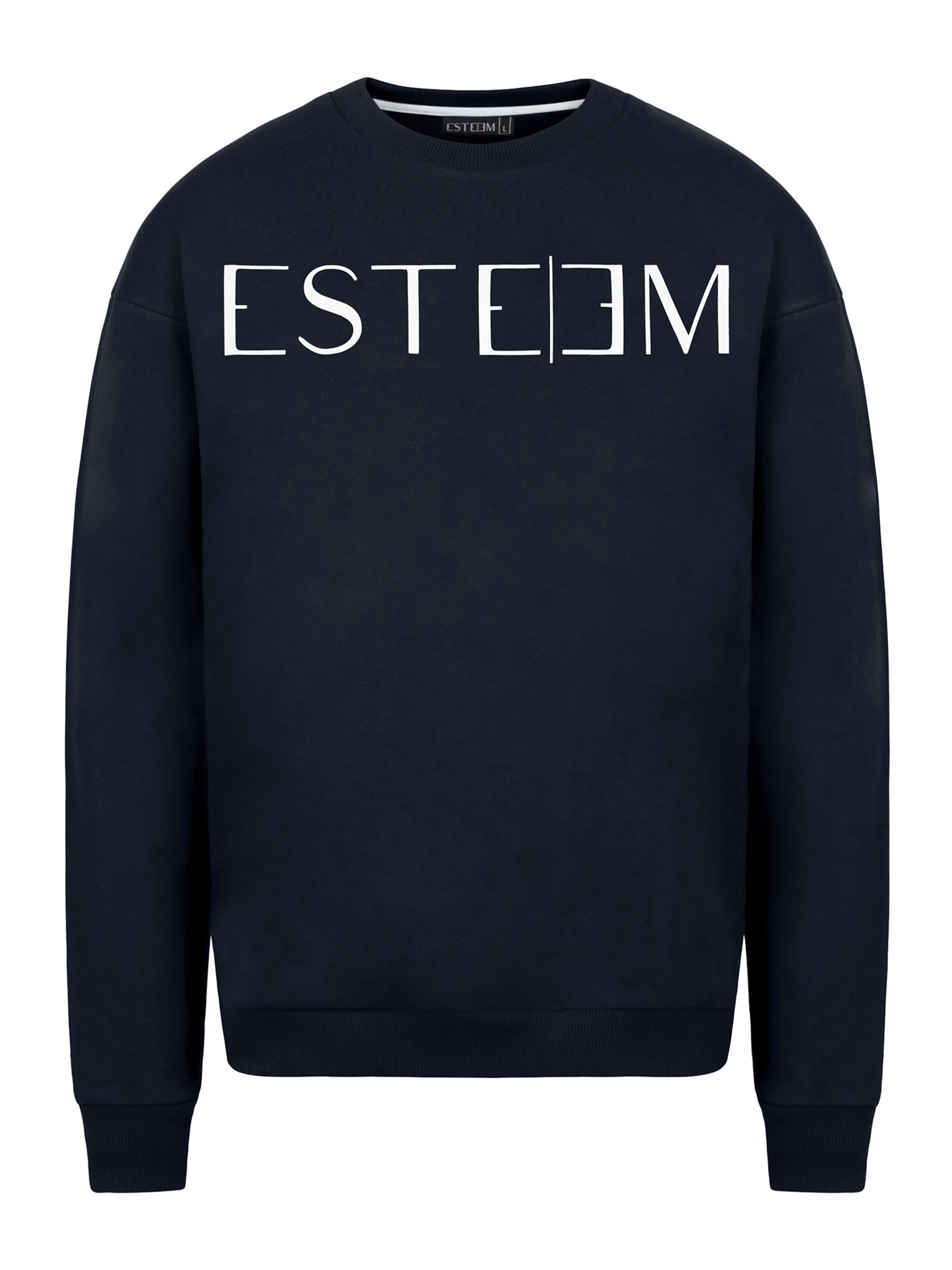 Felpa di ESTEEM in grigio: frontale