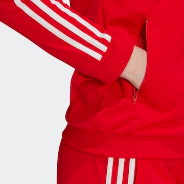 ADIDAS SPORTSWEAR Športna trenirka | rdeča barva