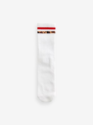 Next Socken in Mischfarben