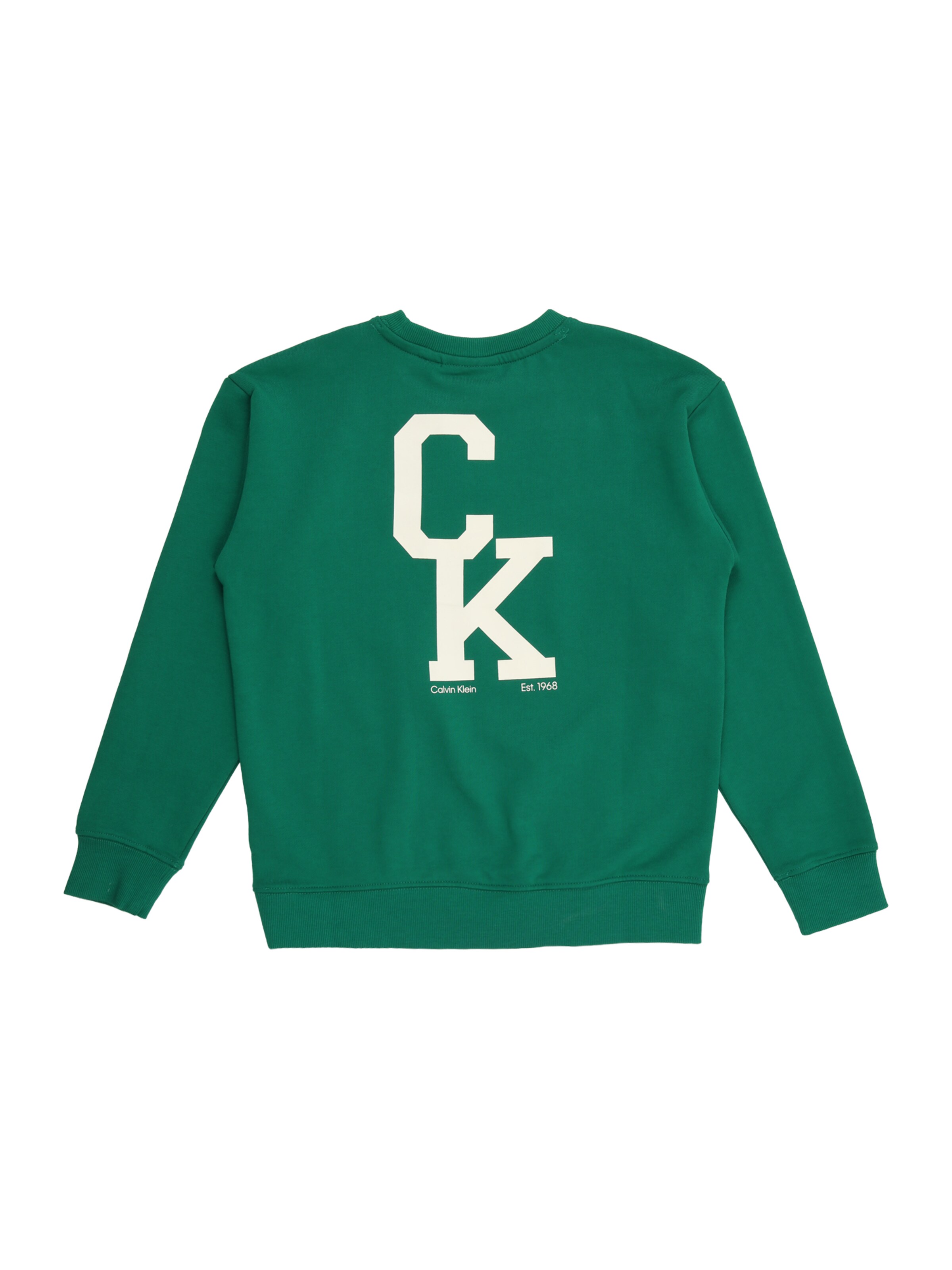 Calvin Klein Jeans Μπλούζα φούτερ σε πράσινο