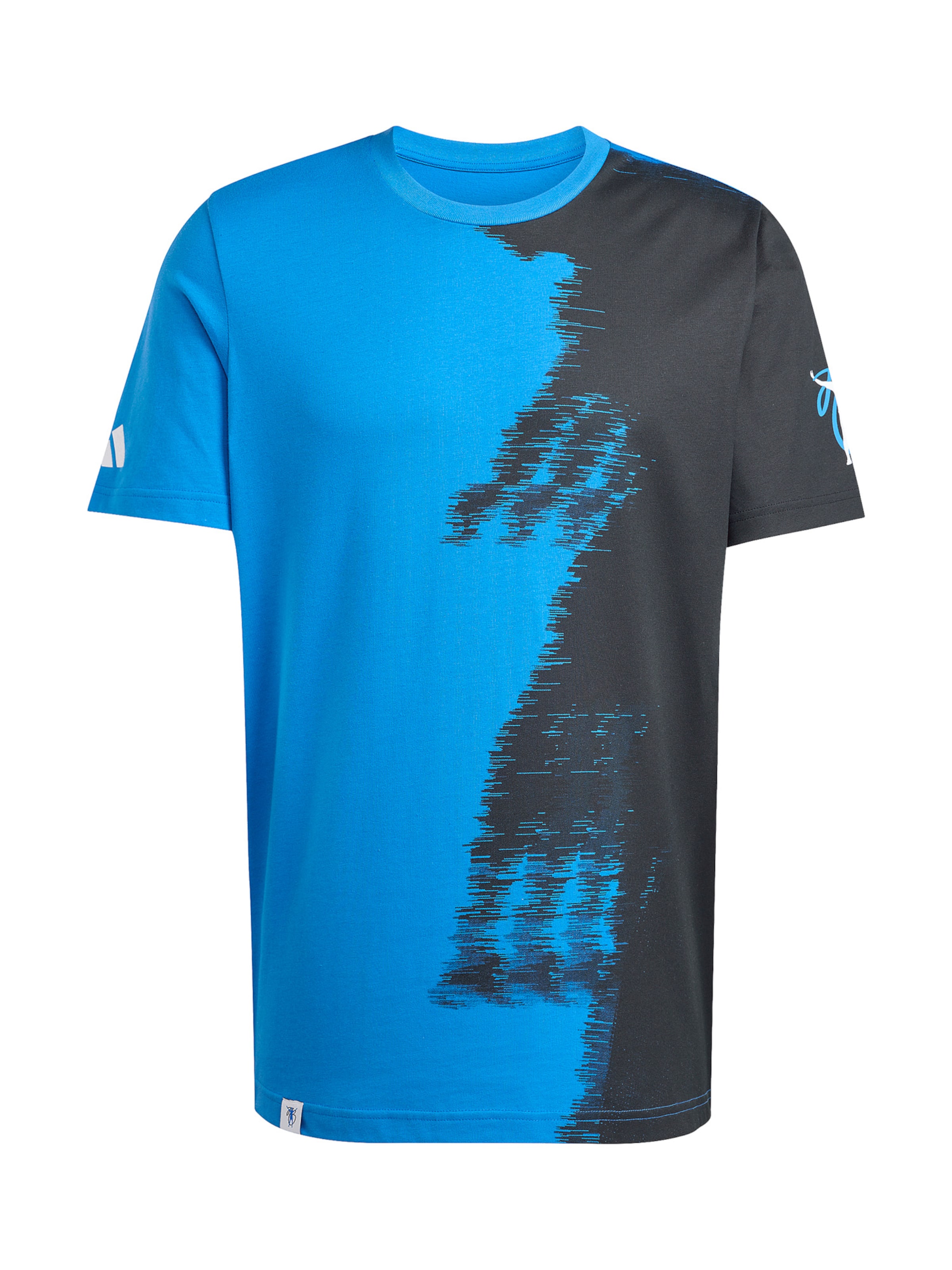 ADIDAS PERFORMANCE Funkčné tričko - Modrá: predná strana