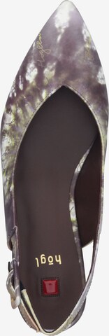 Högl Slingback Pumps in Mixed colors