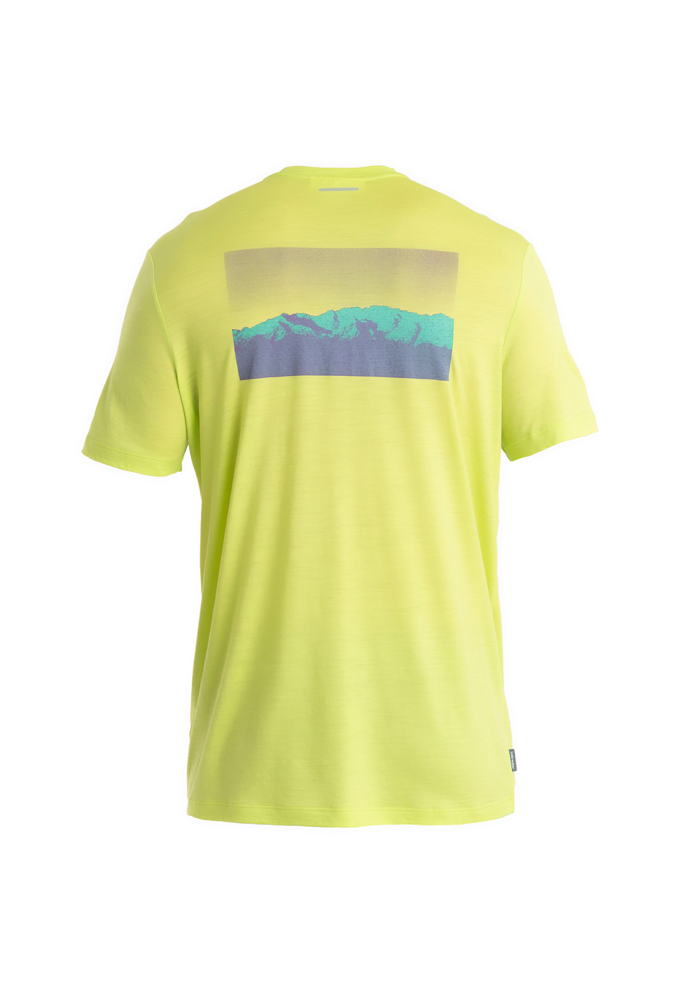 ICEBREAKER Funktionsshirt 'Tech Lite III' in Gelb