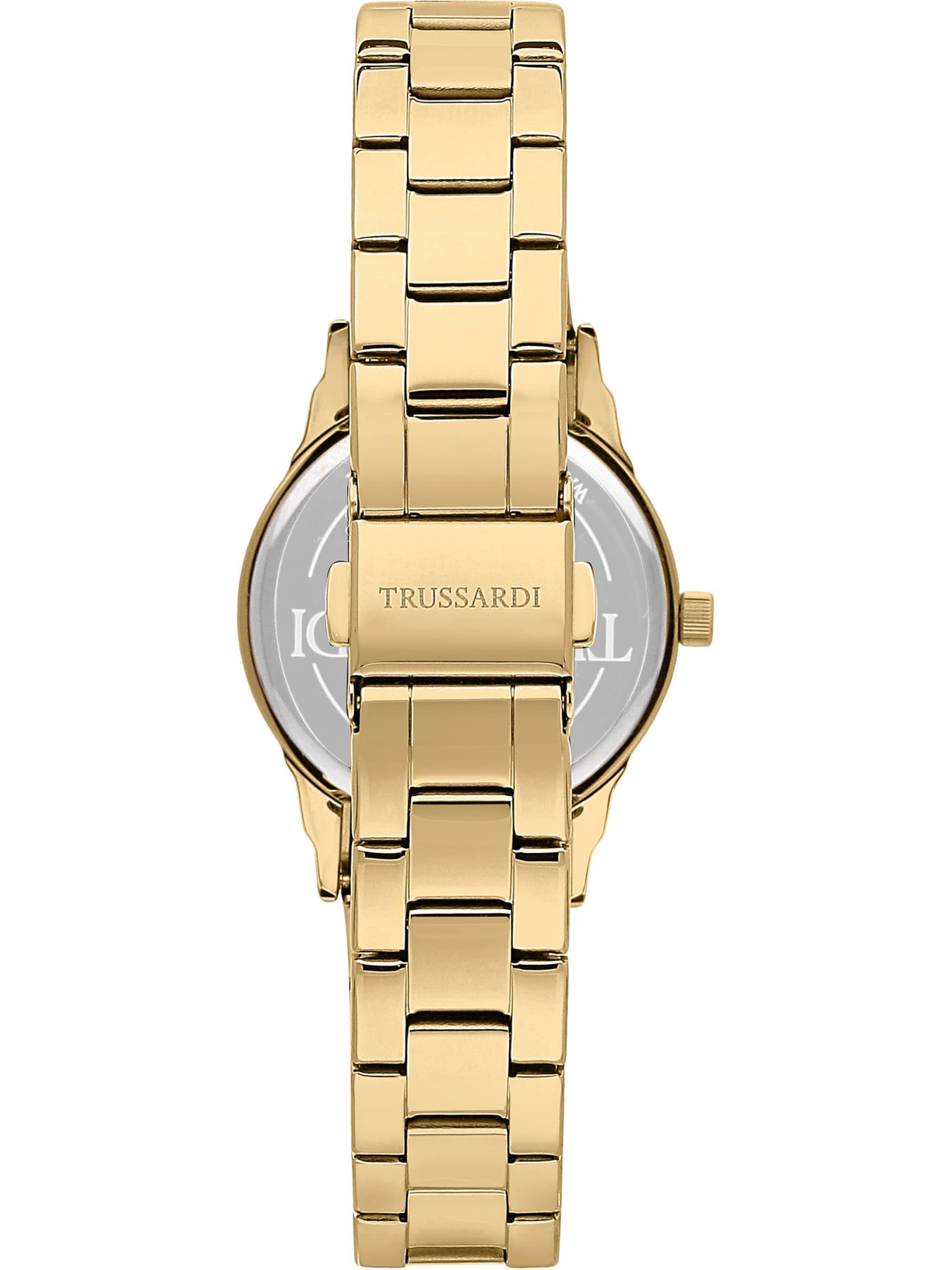 Trussardi Analoguhr in Gold