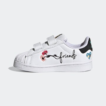 ADIDAS ORIGINALS Sneaker 'Superstar Pure' in Weiß