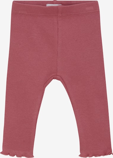 Tamprės 'Tevah' iš Noppies, spalva – melionų spalva, Prekių apžvalga