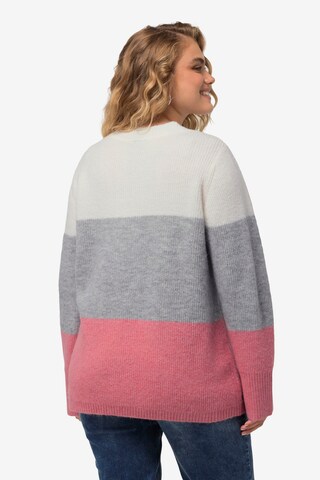 Ulla Popken Sweater in Pink: front