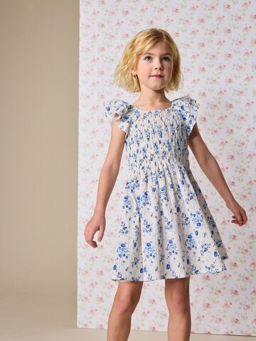 mėlyna Next Suknelė: priekis