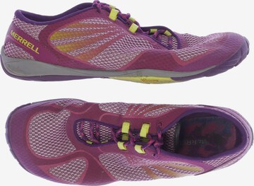MERRELL Sneakers & Trainers in 41 in Purple: front