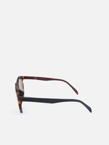 Adidas Sport - Gafas de sol 'AOR017/N Havana' en marrón