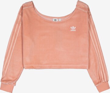 ADIDAS ORIGINALS Sweatshirt in Roze: voorkant