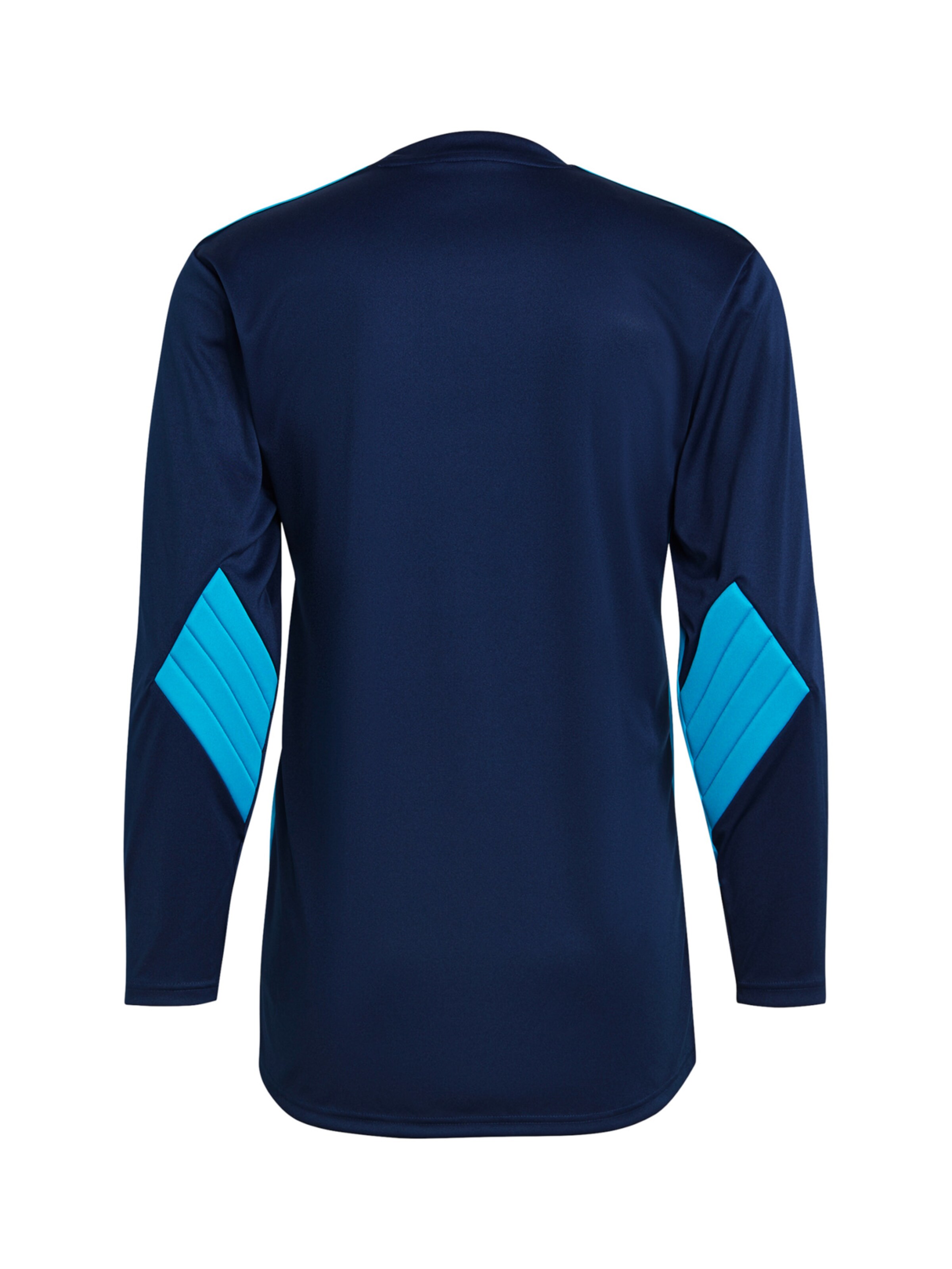ADIDAS SPORTSWEAR Jersey 'Squadra 21' in Blue