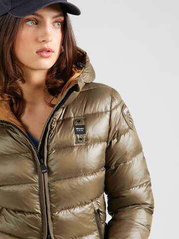 Blauer.USA Between-Season Jacket in Green