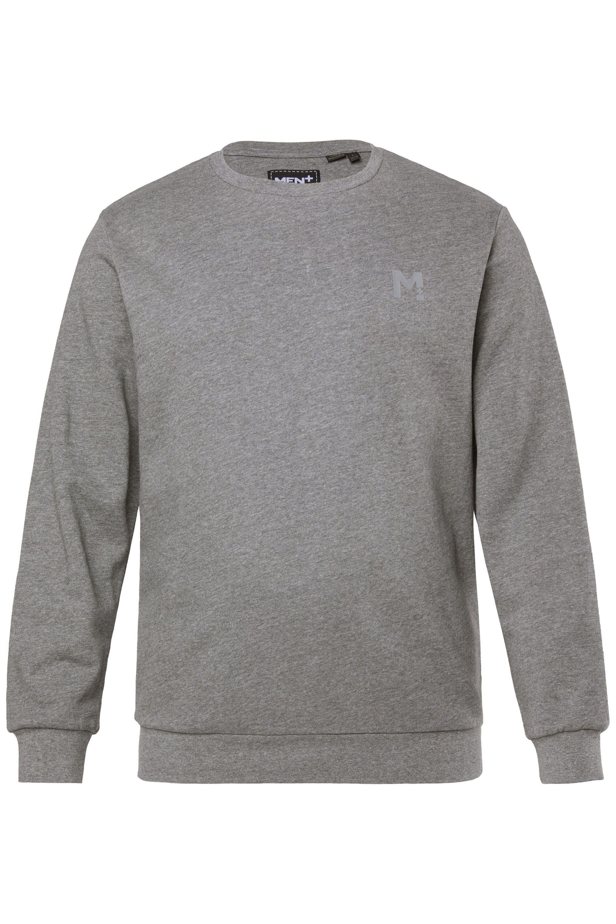 Men Plus Sweatshirt in Grijs: voorkant