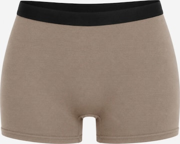 True North Boyshorts 'Boyshort' in Grey: front