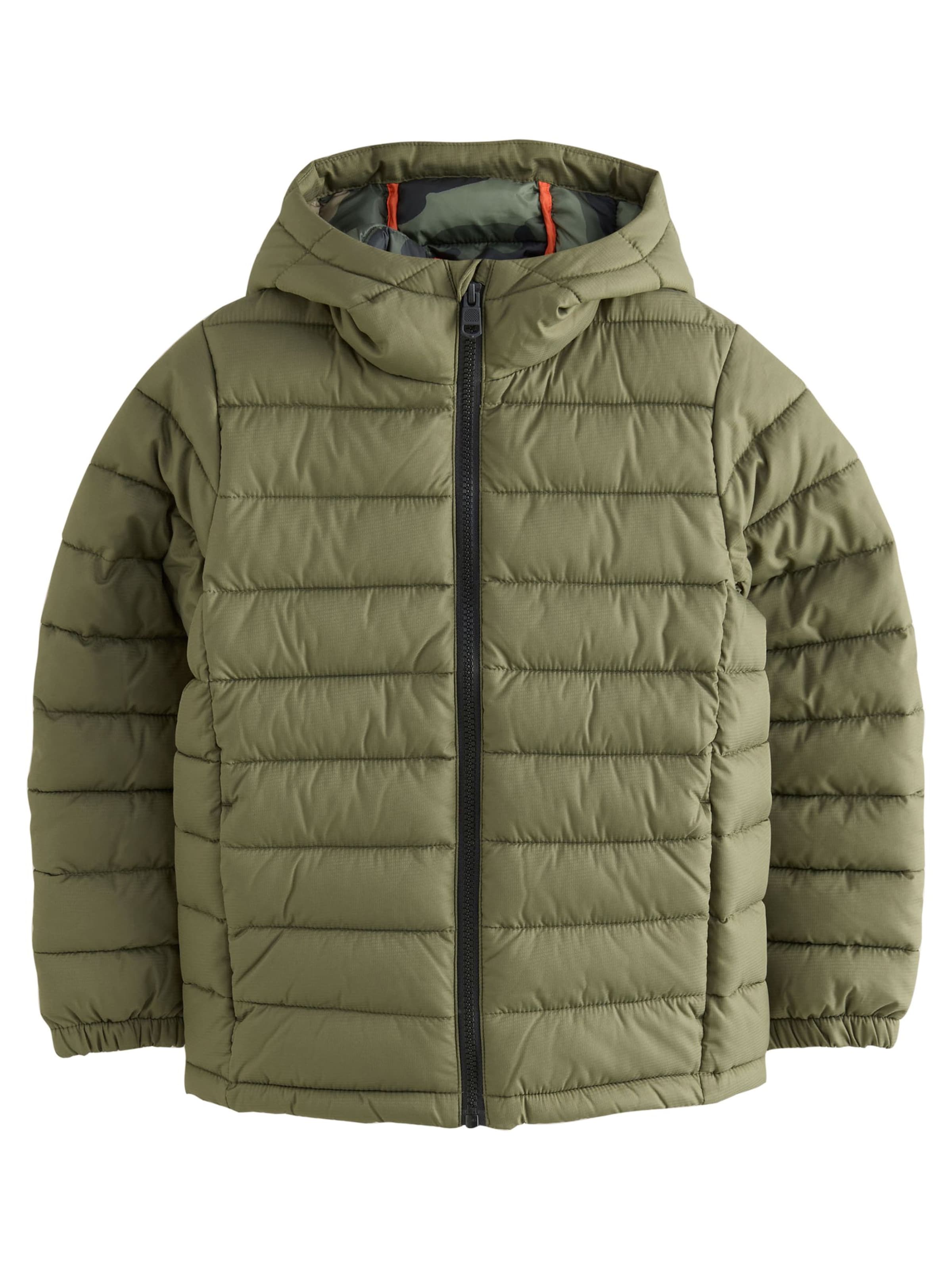 Next Between-season jacket in Green: front