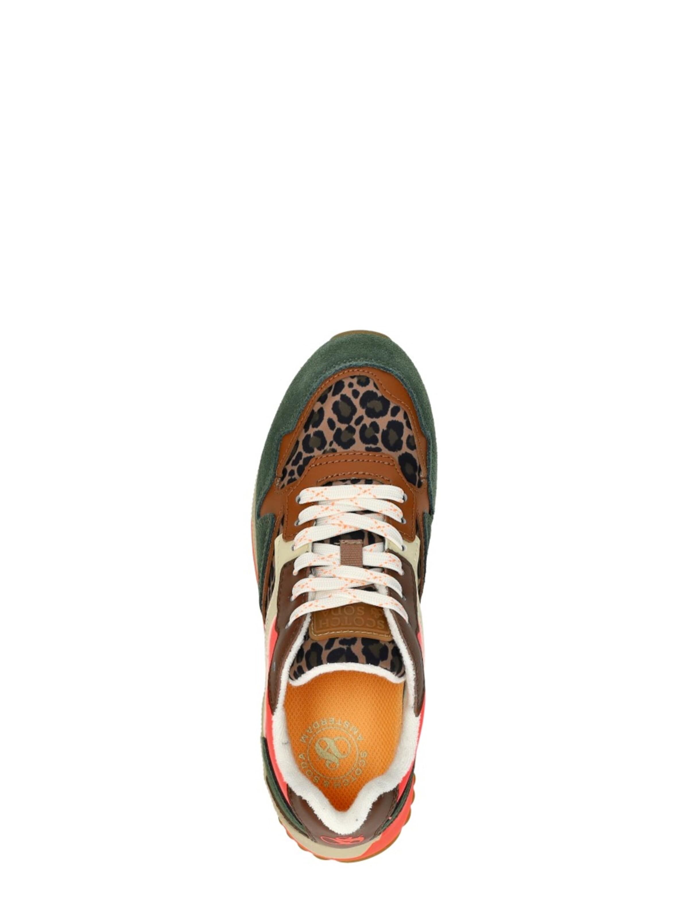 SCOTCH & SODA Sneakers laag 'Vivi' in Groen