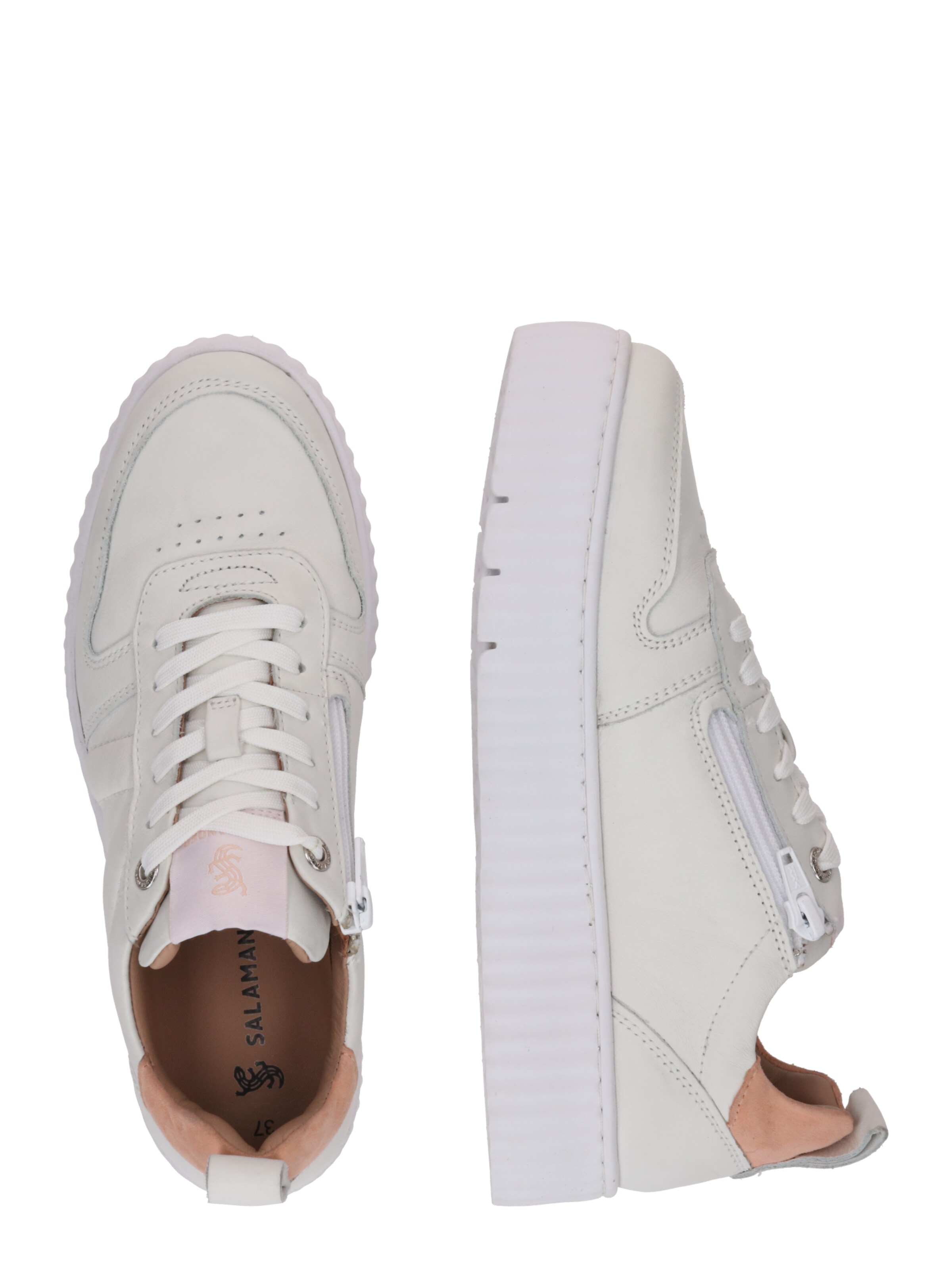 Baskets basses SALAMANDER en blanc