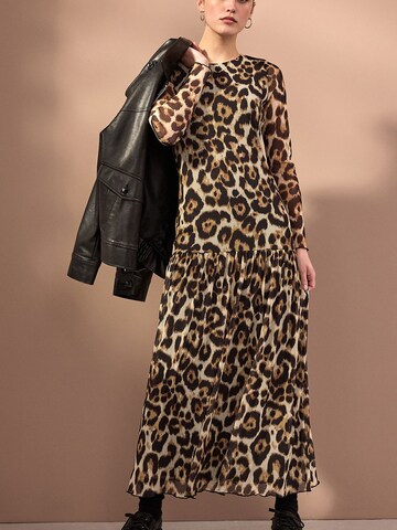 Next Dress in Brown