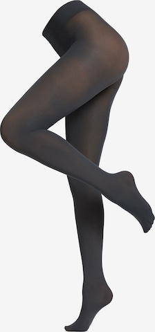 CALZEDONIA Fine Tights in Grey: front