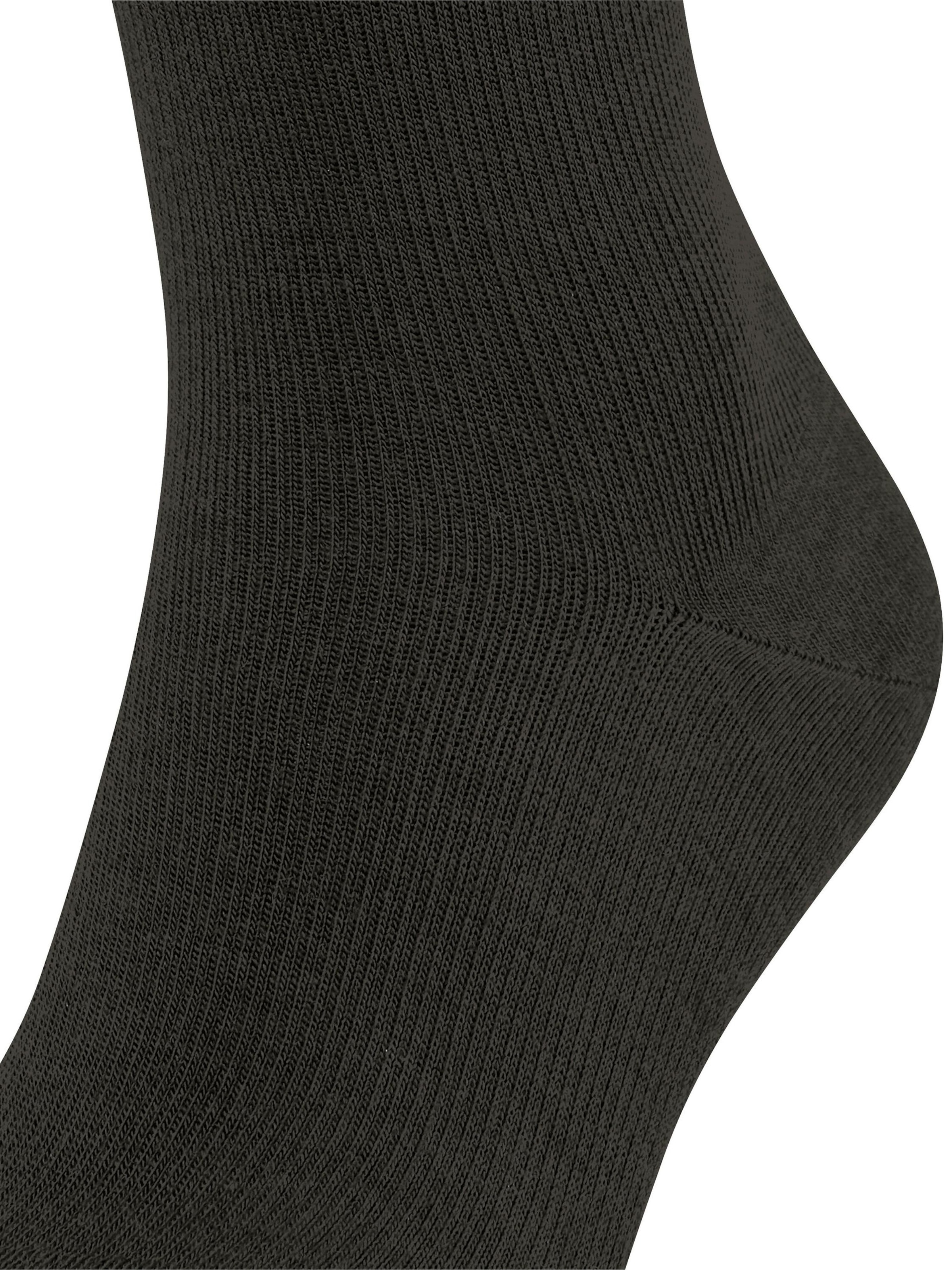FALKE Knee High Socks 'Energizing Wool' in Brown