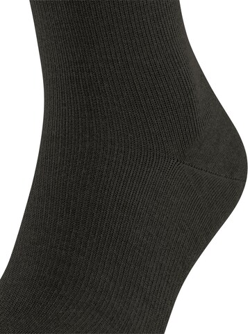 FALKE Kniestrümpfe 'Energizing Wool'‌‌‌‌‌‌‌‌‌‌ in Braun