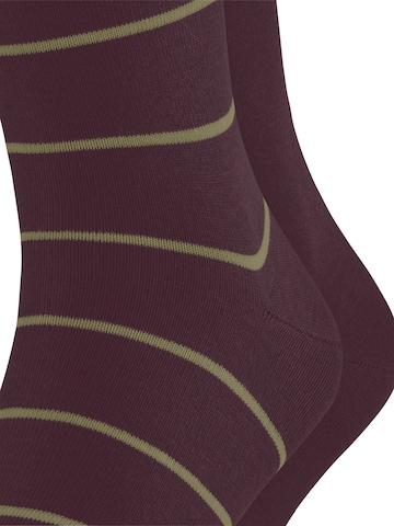 ESPRIT Socken 'Modern Stripe 2-Pack'‌‌‌‌‌‌ in Rot
