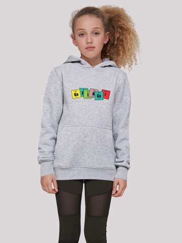 F4NT4STIC Sweatshirt 'Bazinga' in Grey