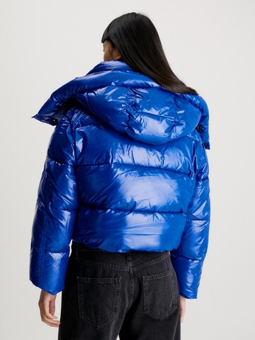 Calvin Klein Jeans Winterjacke in Blau