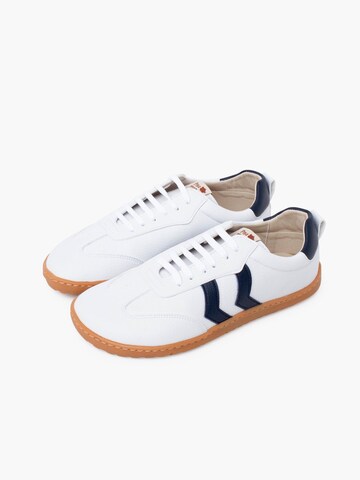 Pisamonas Sneakers in Blauw