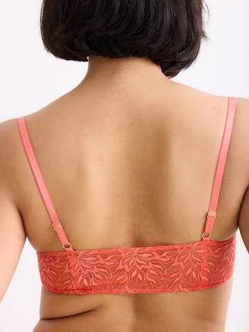 Bandeau Soutien-gorge 'Dreamy Lace' Erlich Textil en jaune