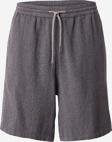 Iriedaily Housut 'Sammy Summer' värissä harmaa: etupuoli