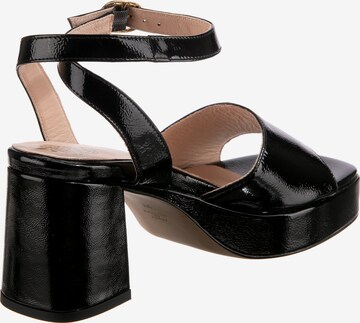 Apple of Eden Sandal 'Verona 1' i svart