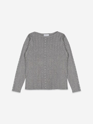 Passioni Sweater in Grey: front