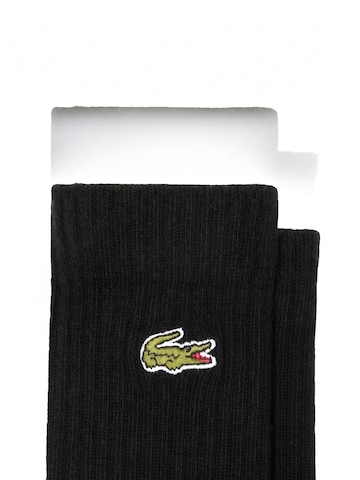 Calzino di LACOSTE in nero