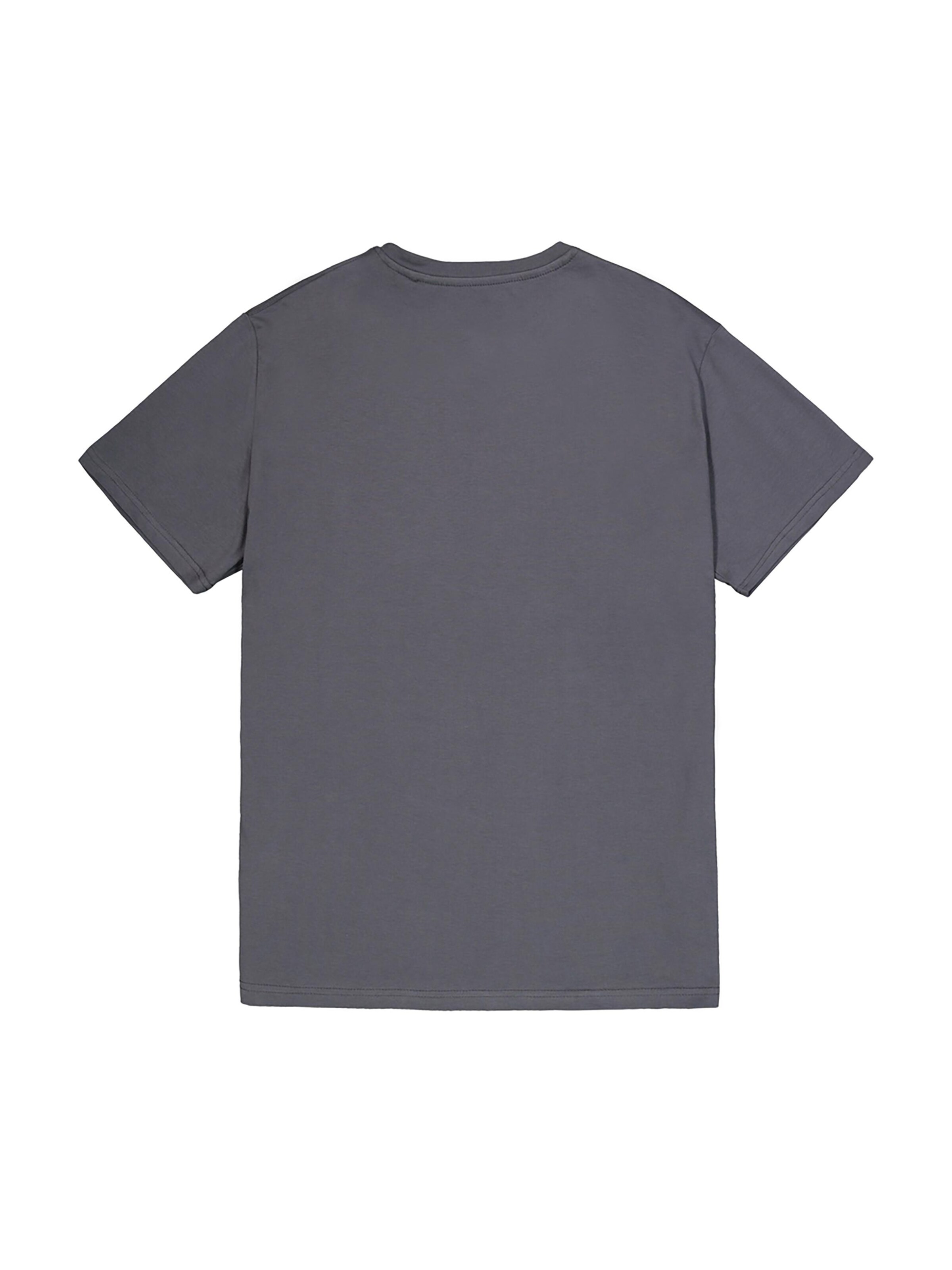 ALPHA INDUSTRIES Shirt 'Basic Small Logo'‌‌ in Grau