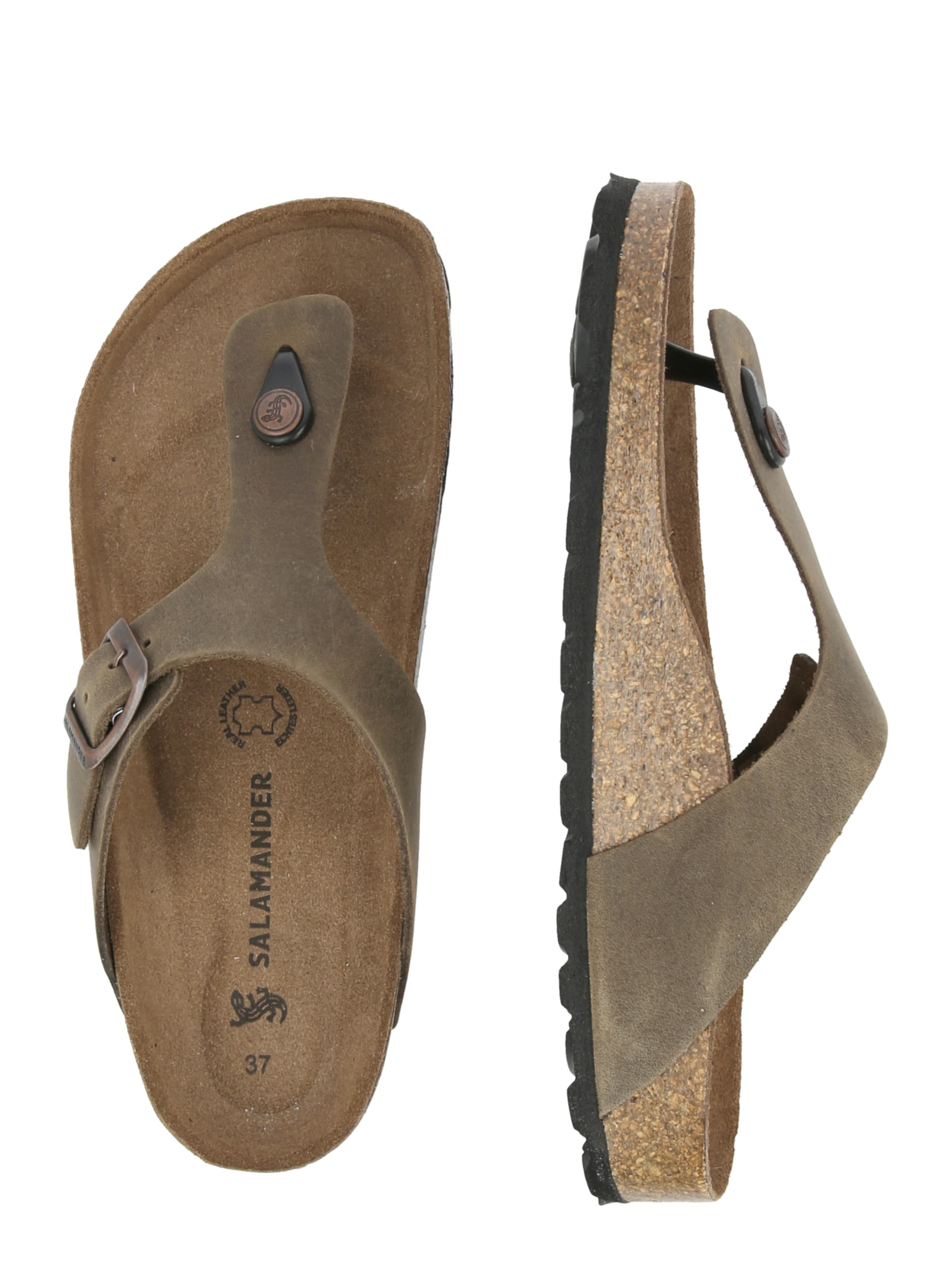 SALAMANDER Klipklappere i brun