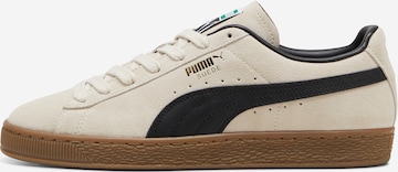 PUMANiske tenisice 'Suede Terrace' - bijela boja: prednji dio